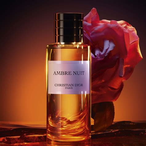 dior ambre nuit duftzwilling|AMBRE NUIT perfume by Dior .